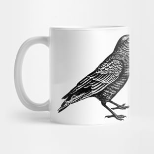 CROW Mug